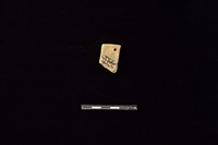 陶片藏品圖，第2張